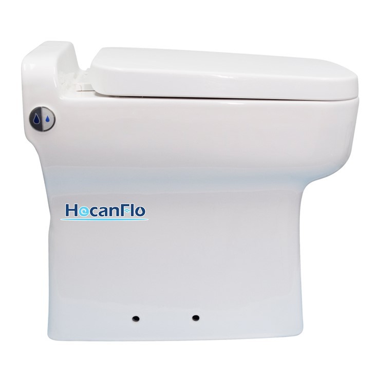 Rimless Wall Hung Toilet